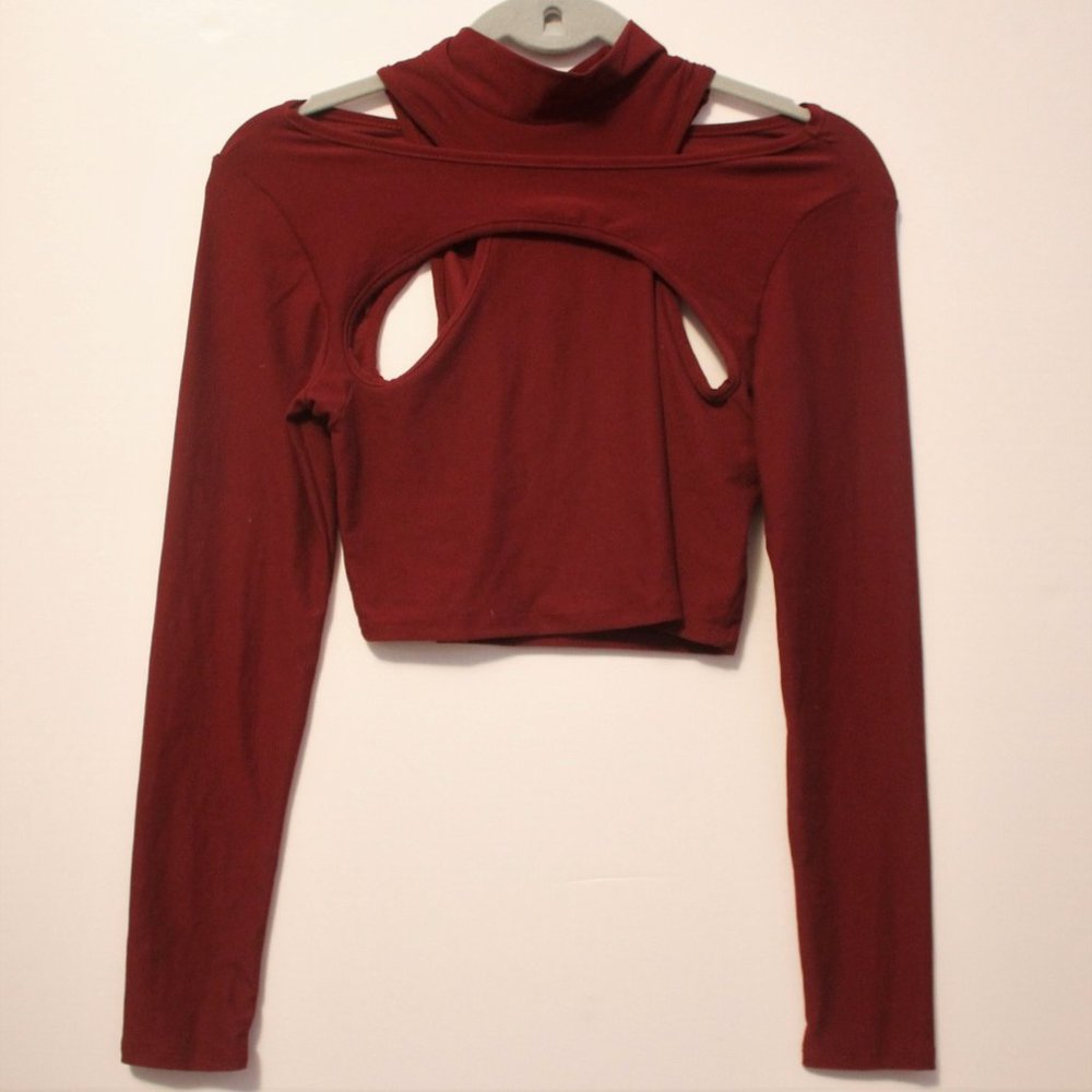 Fashion Nova Cropped Long Sleeve Top